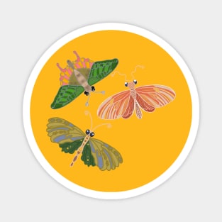 Colorful butterflies Magnet